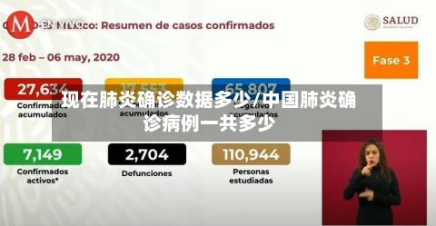 现在肺炎确诊数据多少/中国肺炎确诊病例一共多少-第2张图片