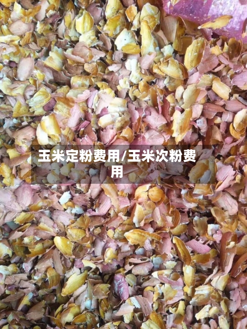 玉米定粉费用/玉米次粉费用