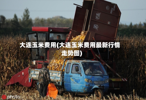 大连玉米费用(大连玉米费用最新行情走势图)-第2张图片