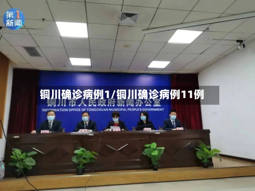 铜川确诊病例1/铜川确诊病例11例-第2张图片