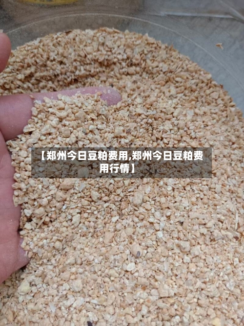 【郑州今日豆粕费用,郑州今日豆粕费用行情】