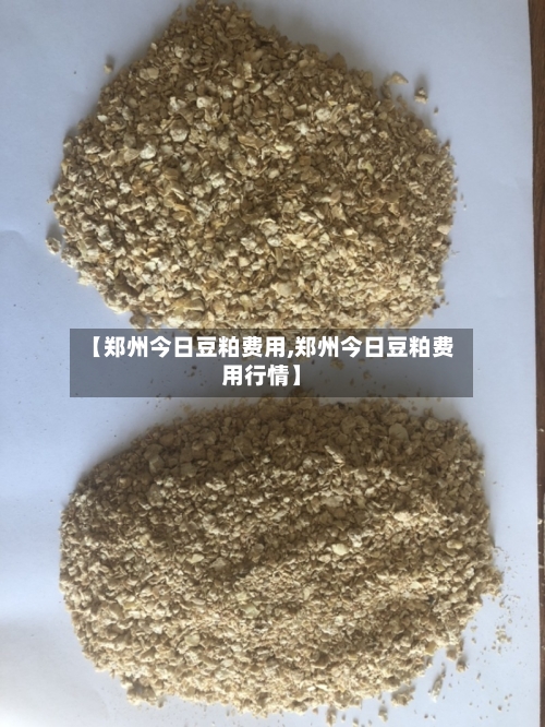 【郑州今日豆粕费用,郑州今日豆粕费用行情】-第3张图片