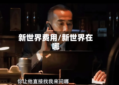 新世界费用/新世界在哪-第2张图片