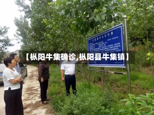 【枞阳牛集确诊,枞阳县牛集镇】-第2张图片