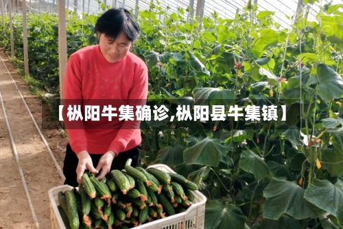 【枞阳牛集确诊,枞阳县牛集镇】