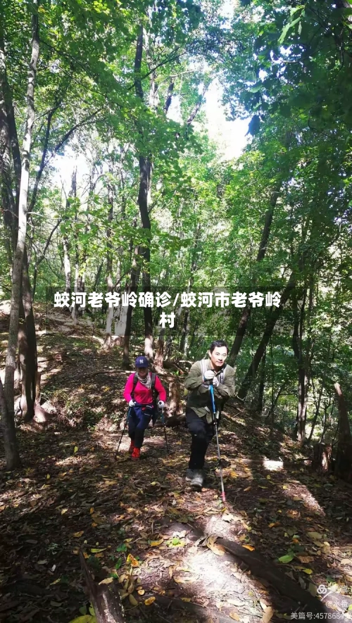 蛟河老爷岭确诊/蛟河市老爷岭村-第2张图片