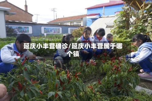 延庆小丰营确诊/延庆小丰营属于哪个镇