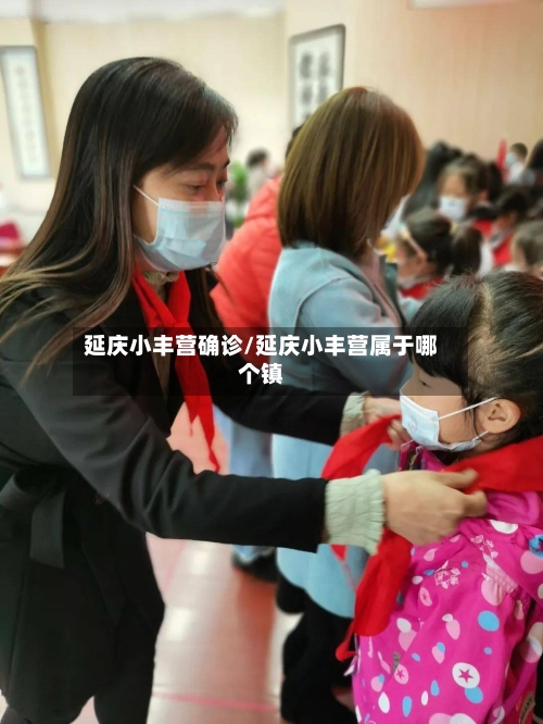 延庆小丰营确诊/延庆小丰营属于哪个镇-第2张图片