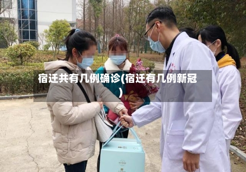宿迁共有几例确诊(宿迁有几例新冠)-第3张图片