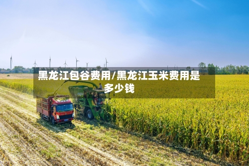 黑龙江包谷费用/黑龙江玉米费用是多少钱