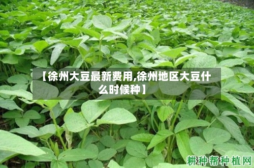 【徐州大豆最新费用,徐州地区大豆什么时候种】