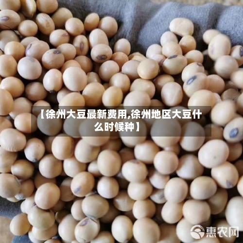 【徐州大豆最新费用,徐州地区大豆什么时候种】-第3张图片