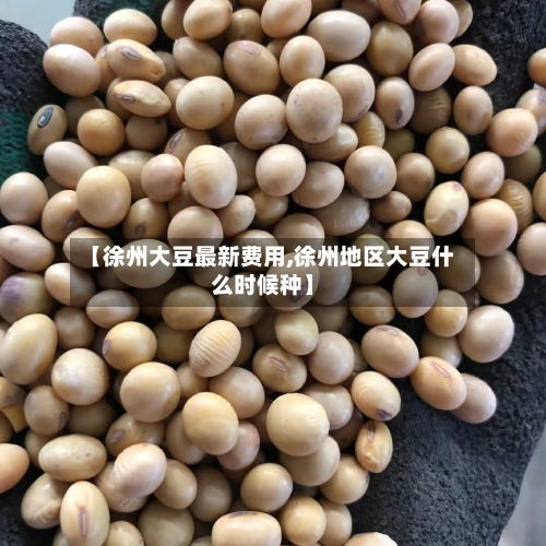 【徐州大豆最新费用,徐州地区大豆什么时候种】-第2张图片