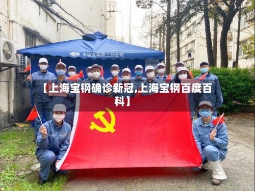 【上海宝钢确诊新冠,上海宝钢百度百科】-第2张图片