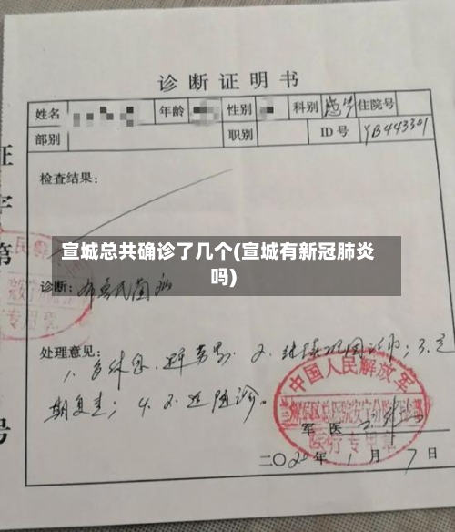 宣城总共确诊了几个(宣城有新冠肺炎吗)-第2张图片