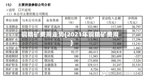 铜精矿费用走势(2021年铜精矿费用)-第3张图片