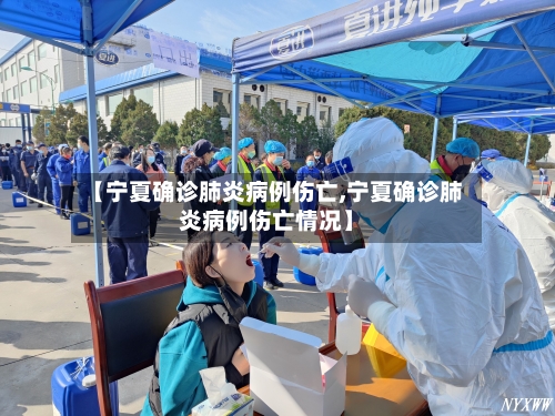 【宁夏确诊肺炎病例伤亡,宁夏确诊肺炎病例伤亡情况】-第2张图片