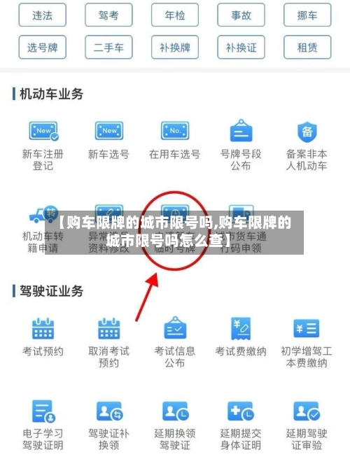 【购车限牌的城市限号吗,购车限牌的城市限号吗怎么查】-第2张图片