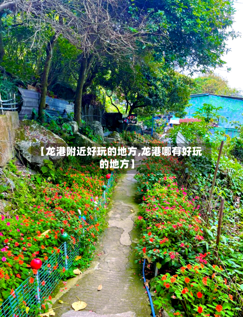 【龙港附近好玩的地方,龙港哪有好玩的地方】-第2张图片