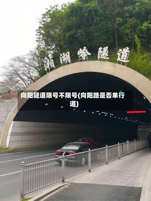 向阳隧道限号不限号(向阳路是否单行道)-第2张图片