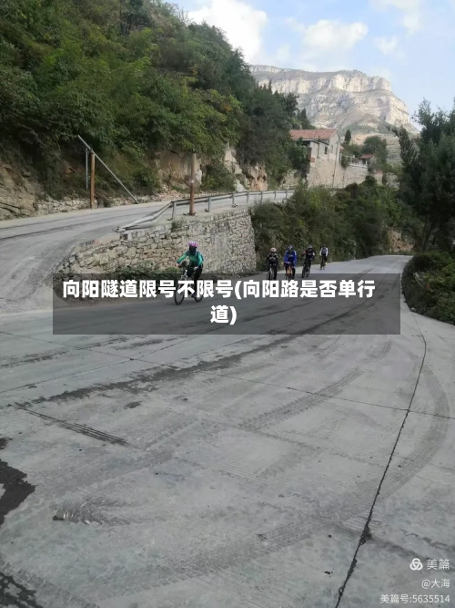 向阳隧道限号不限号(向阳路是否单行道)-第3张图片