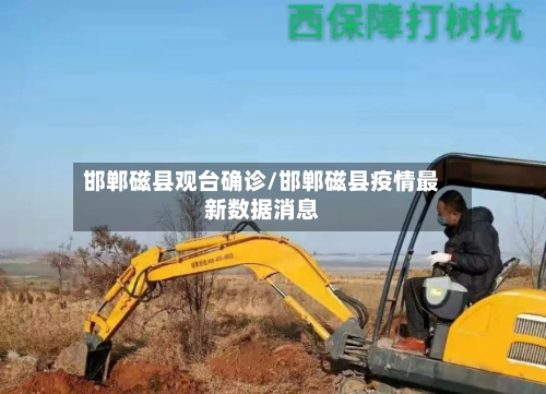 邯郸磁县观台确诊/邯郸磁县疫情最新数据消息-第3张图片