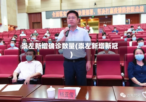 崇左新增确诊数量(崇左新增新冠)-第2张图片