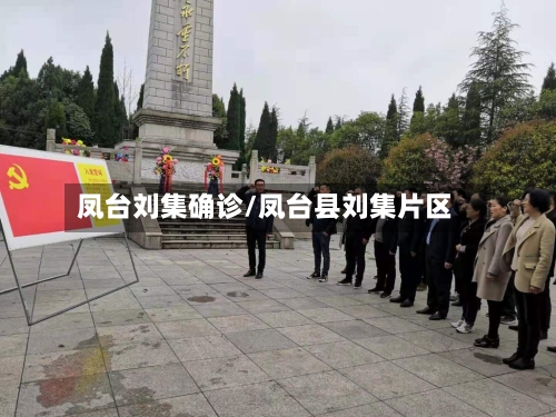 凤台刘集确诊/凤台县刘集片区