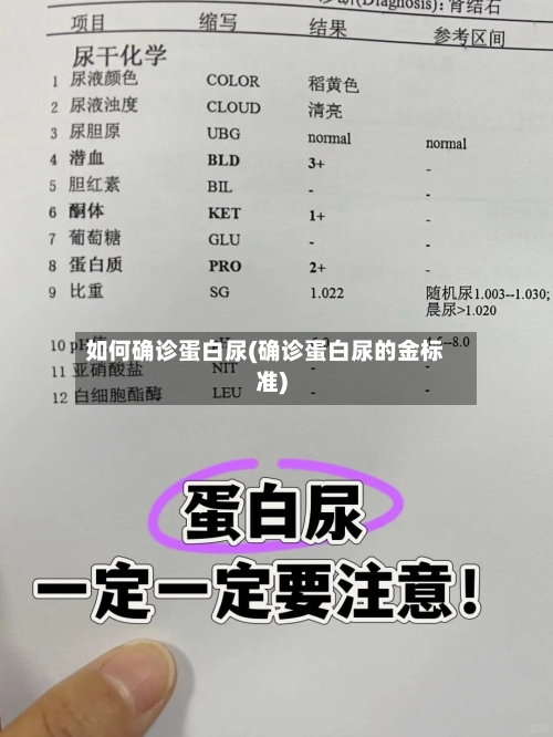 如何确诊蛋白尿(确诊蛋白尿的金标准)-第2张图片