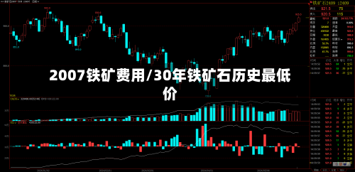 2007铁矿费用/30年铁矿石历史最低价-第2张图片