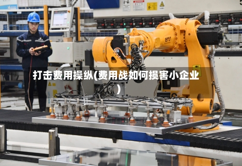 打击费用操纵(费用战如何损害小企业)