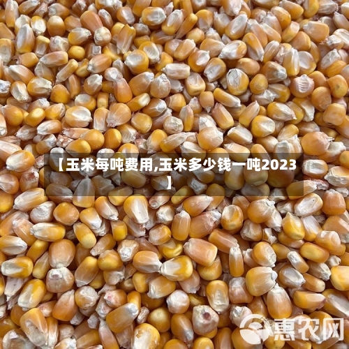 【玉米每吨费用,玉米多少钱一吨2023】