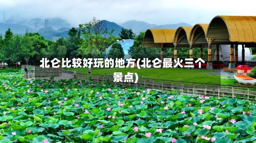 北仑比较好玩的地方(北仑最火三个景点)