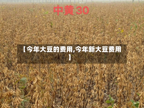 【今年大豆的费用,今年新大豆费用】-第2张图片