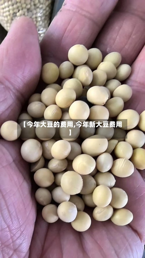 【今年大豆的费用,今年新大豆费用】