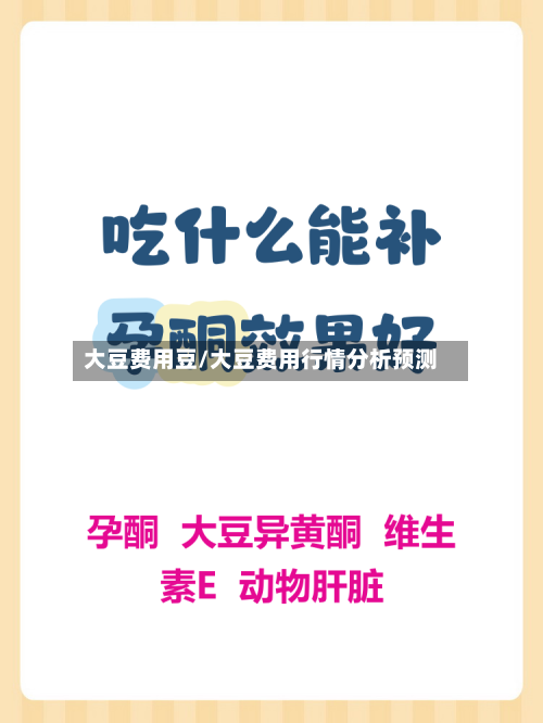 大豆费用豆/大豆费用行情分析预测