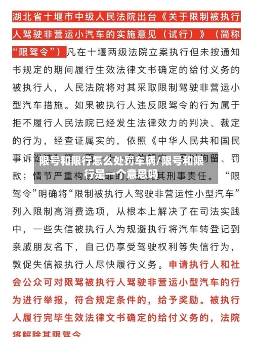 限号和限行怎么处罚车辆/限号和限行是一个意思吗
