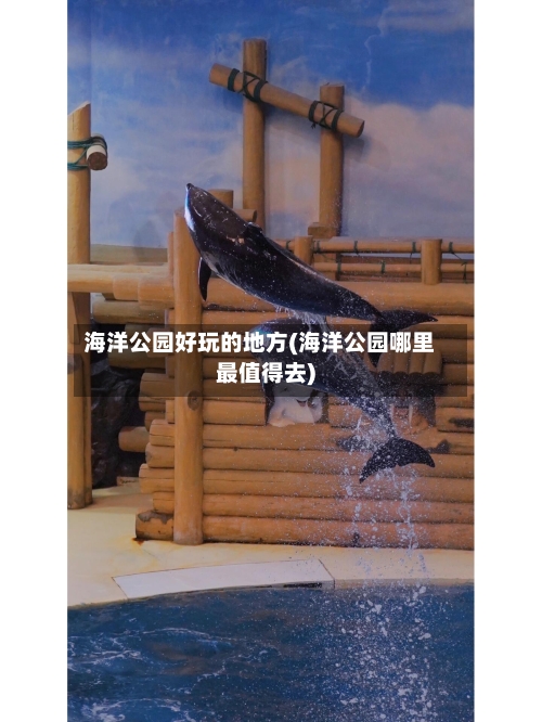 海洋公园好玩的地方(海洋公园哪里最值得去)-第3张图片