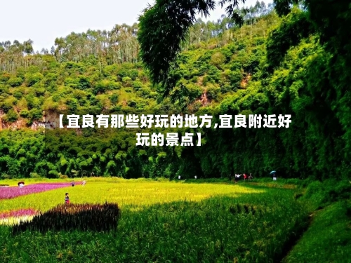 【宜良有那些好玩的地方,宜良附近好玩的景点】-第3张图片