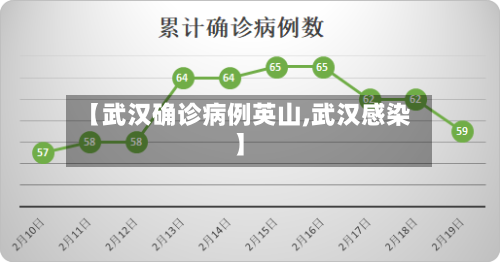 【武汉确诊病例英山,武汉感染】