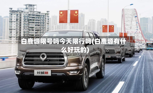 白鹿塬限号吗今天限行吗(白鹿塬有什么好玩的)-第2张图片