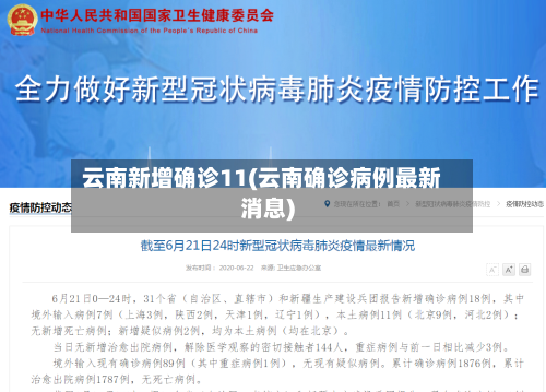 云南新增确诊11(云南确诊病例最新消息)