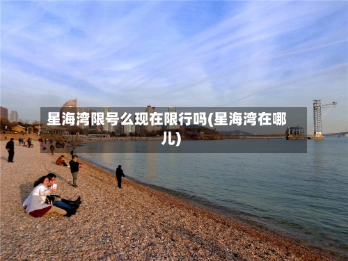 星海湾限号么现在限行吗(星海湾在哪儿)