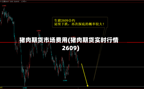 猪肉期货市场费用(猪肉期货实时行情2609)-第3张图片