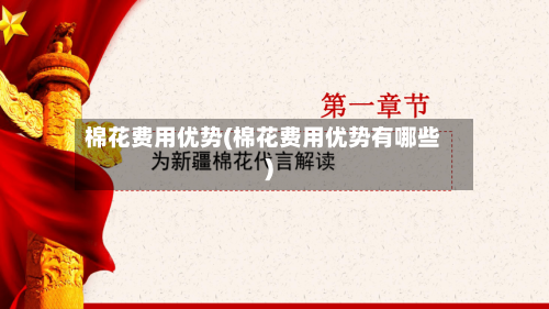 棉花费用优势(棉花费用优势有哪些)