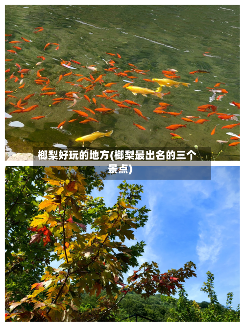 榔梨好玩的地方(榔梨最出名的三个景点)-第2张图片