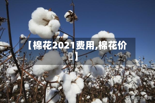 【棉花2021费用,棉花价挌】