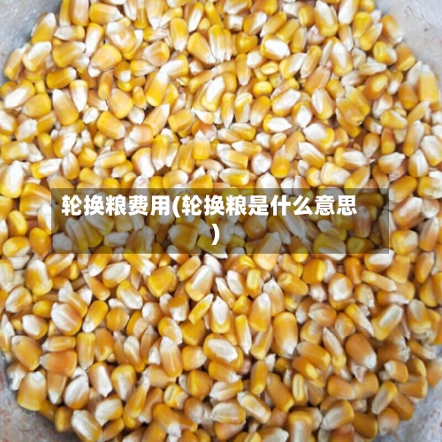 轮换粮费用(轮换粮是什么意思)-第3张图片