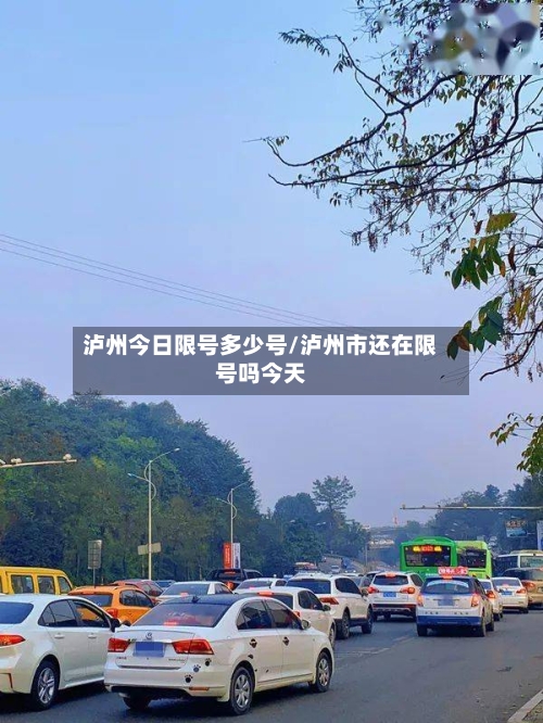 泸州今日限号多少号/泸州市还在限号吗今天-第3张图片