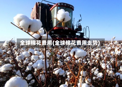 全球棉花费用(全球棉花费用走势)